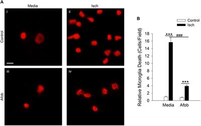 Activation of Sigma Receptors With Afobazole Modulates Microglial, but Not Neuronal, Apoptotic Gene Expression in Response to Long-Term Ischemia Exposure